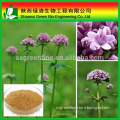 High Quality Valeric Acid Rich In Valerian Root Extract/China Supplier New Product Valeria/High Quality Valerian Root Extract